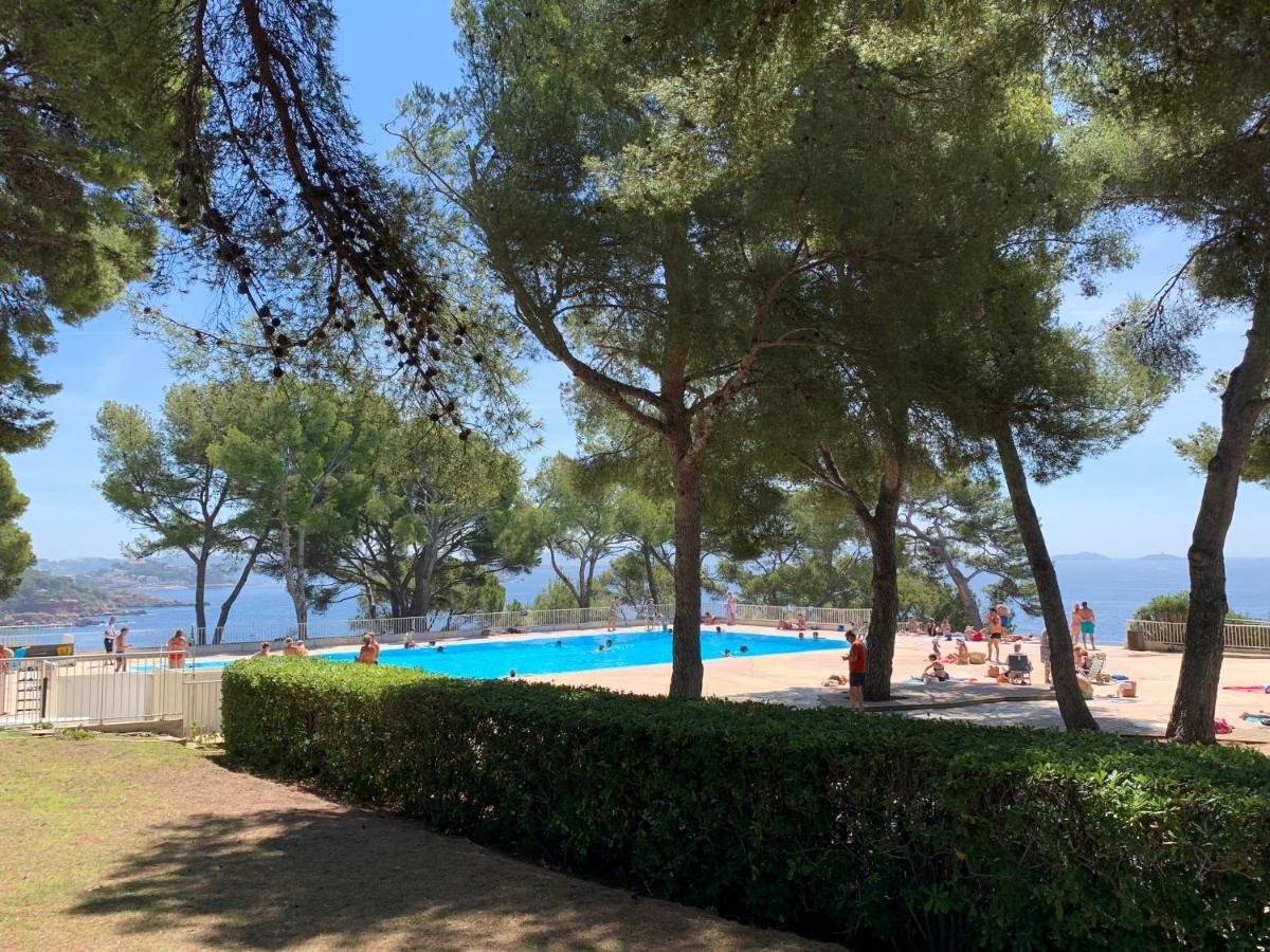 Horizon Bleu Bandol : Appartement Pieds Dans L'Eau Bagian luar foto