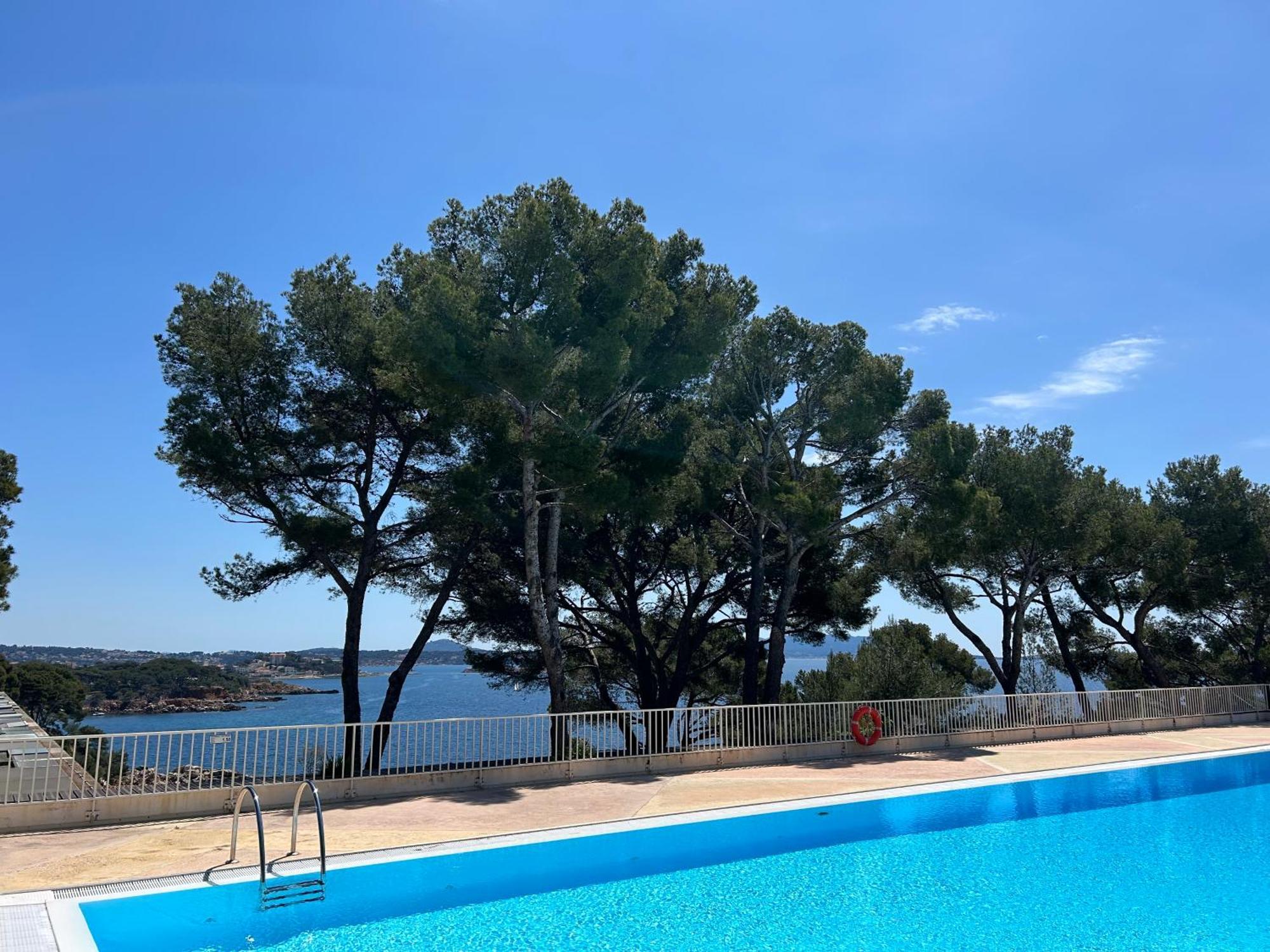 Horizon Bleu Bandol : Appartement Pieds Dans L'Eau Bagian luar foto